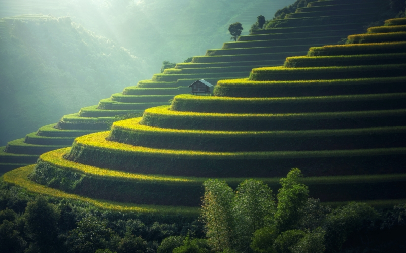 土壤無機重金屬污染物檢測